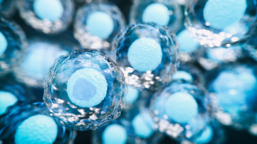 Allogeneic Shell Allogeneic Cell Therapy Manufacturing | Cellipont Bioservices