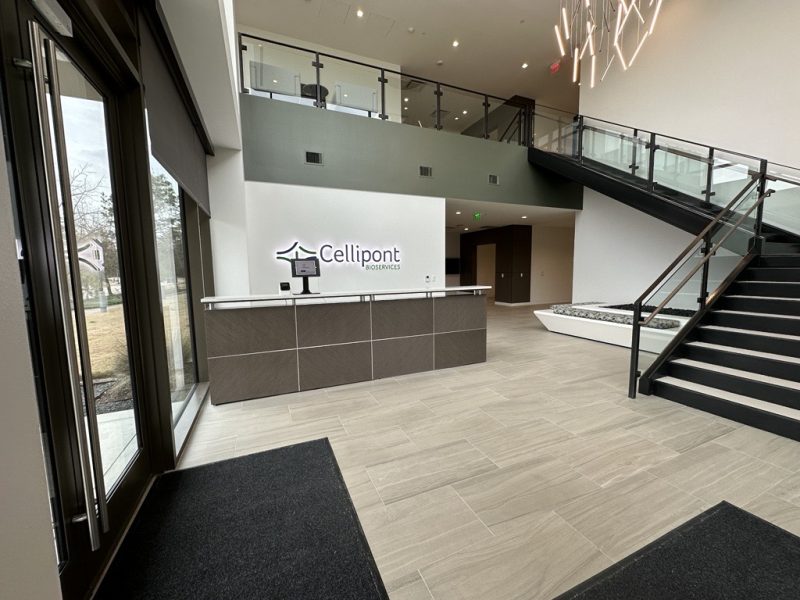 cell-therapy-cdmo-cellipont-bioservices